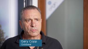 Goldseal's Origin Partnership Experience