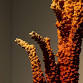Artist Talk: For All At Last Return event image