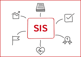 In den tätigkeitsbericht und den. Strukturmodell Sis Eine Erfolgsstory Profsys