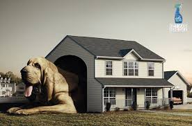 Although there are several options available on the market, baking soda is a very economical ingredient that absorb bad odors. If Your House Smells Like A Dog House Fabreeze The Big Ad