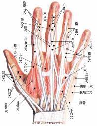董氏奇穴 二二部位 手掌部位 経絡 部位 思考