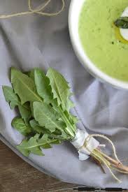 Pin Auf Krauter Lowenzahn Rezepte