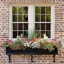 Magic Formula For Window Boxes Thriller Filler Spiller Window Box Flowers Window Boxes Window Box