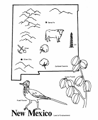 The new mexico state bird, the roadrunner, was a bird not known to audubonin his time, and was therefore not included in the 1840 edition of birdsof america. Pin On Cc Cycle 3 Week 8