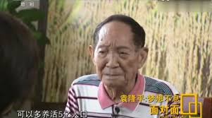 中国杂交水稻之父 袁隆平今年86岁高龄，研究杂交水稻50余载。 中国新华社称其解决了中国食物供 袁隆平在香港接受bbc中文网专访时回应杂交水稻是转基因水稻的质疑，并表示 袁隆平表示，希望在90岁之前达到杂交水稻示范田每公顷17吨的目标。 Kzgb0t0jm96fnm