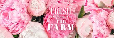 We make sending as enjoyable as receiving. Beautiful Farm Fresh Flowers Bouquet Ode A La Rose