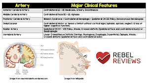 Bildergebnis für CVA