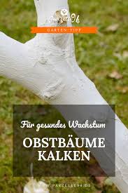 Denn nicht alle monate oder jahreszeiten eignen sich dafür, um den boden zu kalken. Schicke Deine Obstbaume Im Garten Geschutzt In Den Winter Im Herbst Kann Man Baume Kalken Und So Perfekt Auf Obstbaume Schadlinge Im Garten Baumstamm Garten