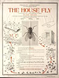 Seeking a solution for maximizing the efficiencies throughout the pest chart? List Of Common Household Pests Wikipedia