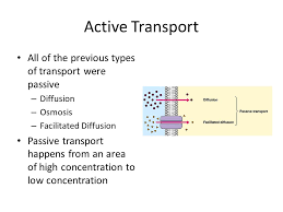 In some cases, the movement of substances can be accomplished by passive transport, which uses no energy. Active Transport Ppt Video Online Download