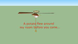A filmmaker at a creative impasse seeks solace from her tumultuous past at a rural retreat, only to find that the woods summon her inner demons. A Potato Flew Around My Room 3d Warehouse