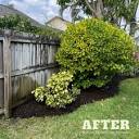 PICTURE PERFECT TREE SERVICES - Updated April 2024 - 24 Photos ...
