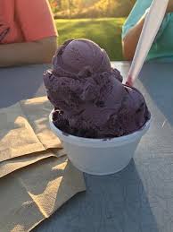 Fielder S Choice Ice Cream Manchester Restaurant Reviews Photos Phone Number Tripadvisor