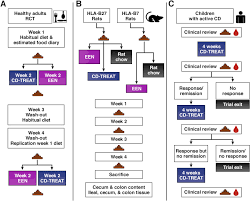 Treatment Of Active Crohns Disease With An Ordinary Food