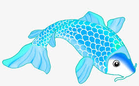 Check spelling or type a new query. Colorful Koi Fish Drawings Png Royalty Free Koi Fish Drawing Png Free Transparent Png Download Pngkey