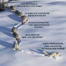 Падра