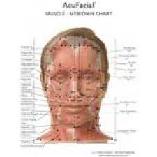 helio usa inc acufacial meridian muscle chart bc 104