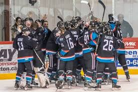 Hockey gods cruel to Coyotes as season abruptly ends