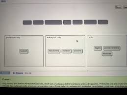 How does the function of a cell depend on its structure? Mastering Biology Cell Structure 4 3 4 7 Flashcards Quizlet