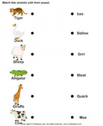 I have tried to group similar standards together where possible. Alliteration Worksheets Free Download 99worksheets