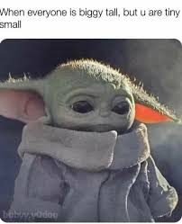 The Meme Administration Yoda Funny Funny Babies Yoda Meme