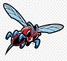You can also copyright your logo using this graphic but that won't stop anyone from using the image. Delaware State Hornets Logo Png Transparent Vector Delaware State University Hornets Logo Clipart 247709 Pinclipart