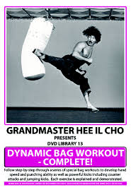 dvd 13 dynamic bag workout dvd 13