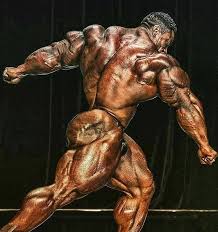 Best Top 8 Arms In Bodybuilding History Page 7 Of 8 Fitness Volt Roelly winklaar just might come in with the best conditioning of his career based off of the extreme death face he was showing off at the olympia 2019 press conference and meet the olympians. best top 8 arms in bodybuilding history