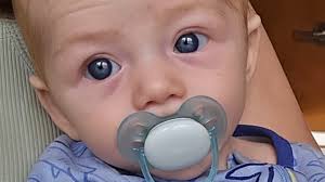 Fundraiser for Heidi Emmerich by Zack Oxley : Stand by Maverick in His  Medical Fight