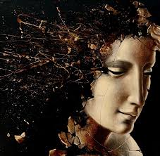 Image result for Ficus scassellatii