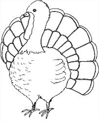 Free printable thanksgiving turkey coloring page, a fun activity for kids. Free Printable Turkey Coloring Pages For Kids