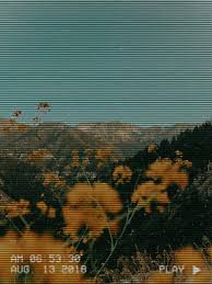 34+ wallpaper aesthetic green on wallpapersafari. Wild Flower Child Pinterest Lovemesonaturally Aesthetic Pictures Green Background Hd Background Hd Wallpaper