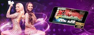 Sexy Gaming Online Casinos - Live Dealer Friendly Sites
