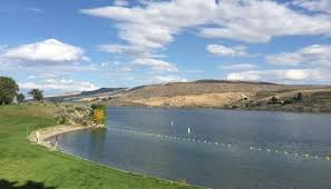 Pin Em Washington State