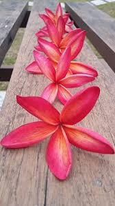 The damansara damai mrt station is a mass rapid transit (mrt) station under construction that will serve the suburb of damansara damai in selangor, malaysia. Polis Diraja Malaysia Meranti Garden Homes Kehidupan Taman Di Meranti