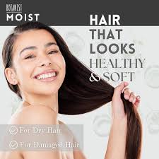 Amazon.com: BOTANIST Champú hidratante para cabello seco, champú orgánico  para mujeres y hombres por proteína botánica, colágeno, queratina natural,  ácido hialurónico y ceramida de Japón, sin parabenos ni sulfato : Belleza y