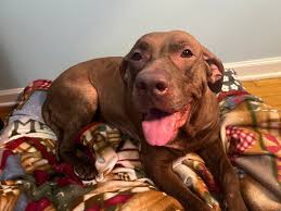 Let's remain vigilant and supportive during the search for this young girl. 