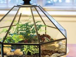 Make A Terrarium Hgtv Gardens Diy Garden Projects Beautiful Terrariums How To Make Terrariums