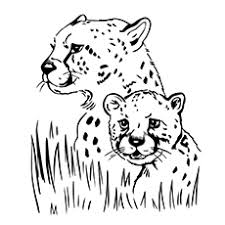 Pypus is now on the social networks, follow him and get latest free coloring pages and much more. 10 Best Free Printable Jaguar Coloring Pages Online