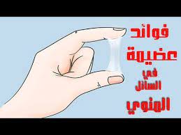 السائل المنوي هو ما يخرج من قضيب الرجل عندما يصل إلى مرحلة القذف خلال الدورة الجنسية. Ø±Ø¬ÙˆÙ„ÙŠ Ø§Ù„ØªÙƒÙŠÙ Ù…Ø²Ø¯ÙˆØ¬ ÙÙˆØ§Ø¦Ø¯ Ø§Ù„Ø³Ø§Ø¦Ù„ Ø§Ù„Ù…Ù†ÙˆÙ‰ Ù„Ù„Ø´Ø¹Ø± Ù„Ù„Ø±Ø¬Ø§Ù„ Filipinofusiondesserts Com