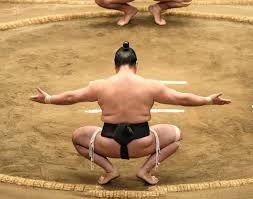 It gradually evolved into a spectator sport and first became a professional sport during the edo period (1600~1868). The Story Of Sumo Wrestling All About Sumo Wrestling Origin Of Sumo Wrestling