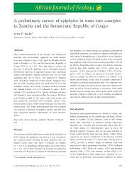 Image result for Polystachya bruechertiae