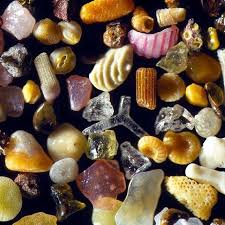 Uberfacts This Is What Sand Looks Like Under A Microscope Things Under A Microscope Microscopic Photography Grain Of Sand