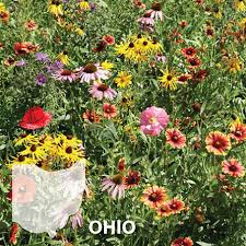 We did not find results for: Ohio Blend Wildflower Seed Urban Farmer
