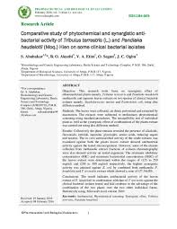 Image result for Pandiaka