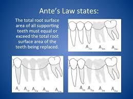 Antes Law Update Your Dental Chart To Lower Your