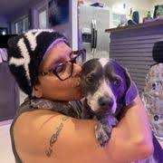 VCA HOLLYWOOD ANIMAL HOSPITAL