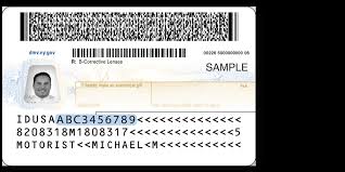 Maybe you would like to learn more about one of these? Driver L Licence