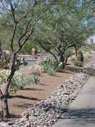 Check spelling or type a new query. 140 Xeriscape Rock Gardens Ideas Xeriscape Landscape Design Desert Landscaping