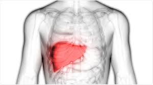 The active form, retinol, is converted to this by lecithin:retinol acyltransferase. How Do Certain Foods Affect The Liver